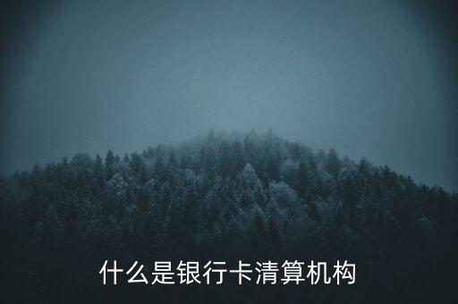 同一卡組織清算機構指什么，銀行卡清算機構銀行支付機構到底有什么區(qū)