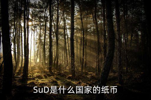 sud是什么貨幣，SUD是什么貨幣單位