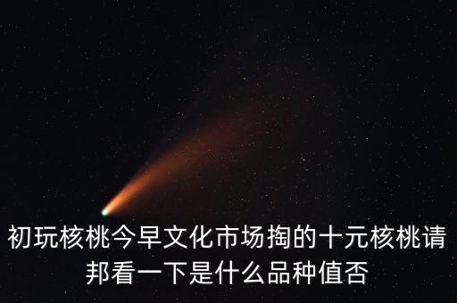 賭核桃是什么品種，請問我這個手玩核桃是什么品種好嗎值多錢