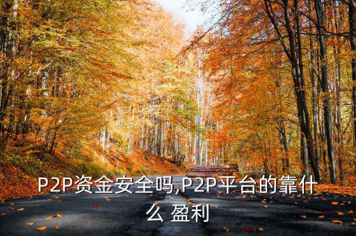 p2p公司怎么盈利,互聯(lián)網(wǎng)金融服務業(yè)務提供中介服務