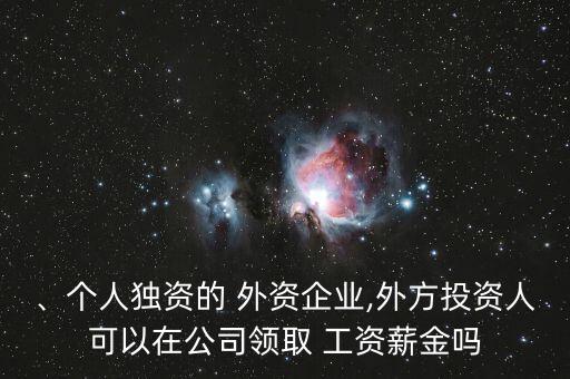 、個人獨(dú)資的 外資企業(yè),外方投資人可以在公司領(lǐng)取 工資薪金嗎