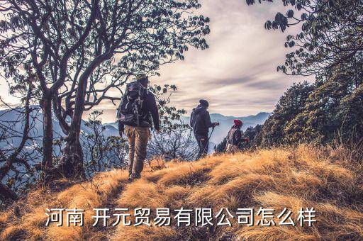 河南 開元貿(mào)易有限公司怎么樣