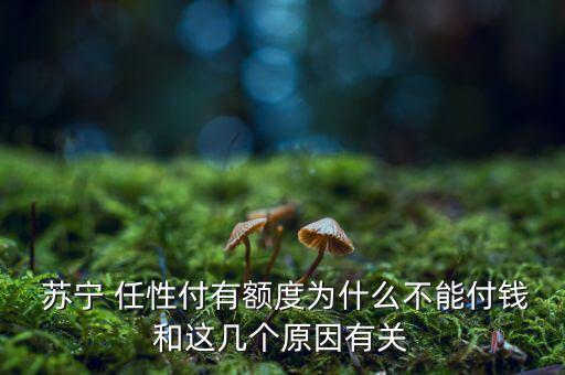  蘇寧 任性付有額度為什么不能付錢和這幾個(gè)原因有關(guān)