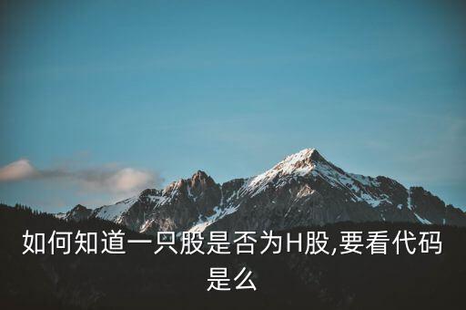 如何知道一只股是否為H股,要看代碼是么