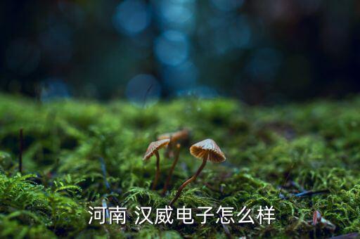 河南漢威置業(yè)怎么,許昌漢威置業(yè)有限公司注冊成立