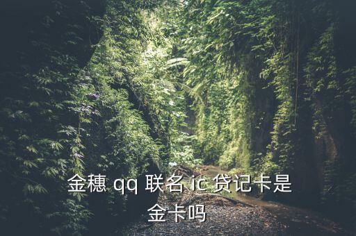 農(nóng)行金穗qq聯(lián)名ic貸記卡怎么樣