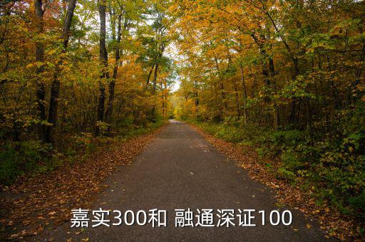 嘉實300和 融通深證100