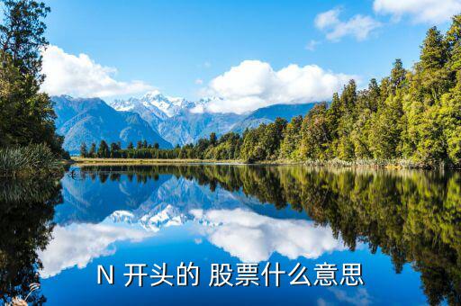 N 開(kāi)頭的 股票什么意思