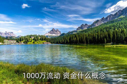  1000萬(wàn)流動(dòng) 資金什么概念