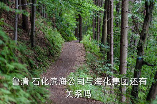  魯清 石化濱海公司與海化集團還有關(guān)系嗎