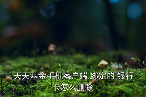 天天盈怎么修改綁定銀行卡,理財新規(guī)則