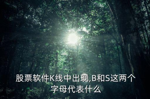  股票軟件K線中出現(xiàn),B和S這兩個 字母代表什么