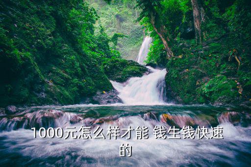  1000元怎么樣才能 錢(qián)生錢(qián)快速的