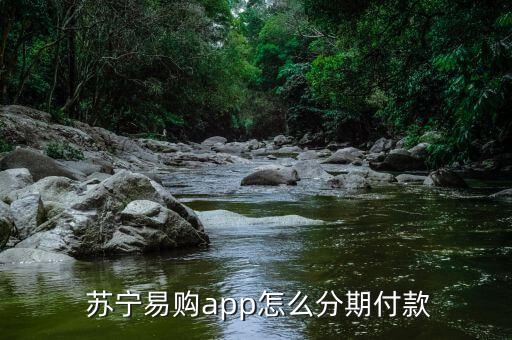 蘇寧任性付怎么還款,-2任性可選擇在賬單發(fā)出前提前還款還款