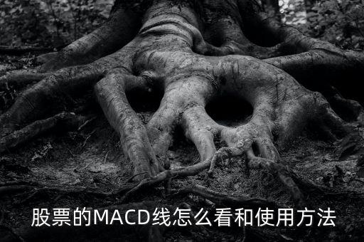  股票的MACD線怎么看和使用方法