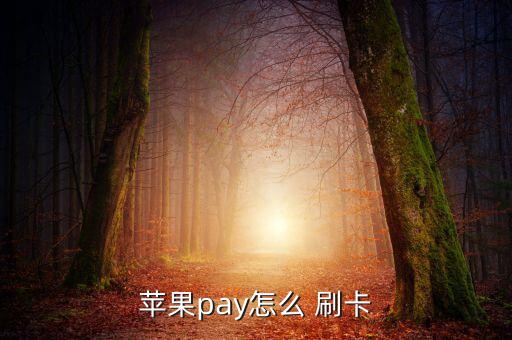 怎么刷卡,如何在手機(jī)上使用applepay付款和刷卡?