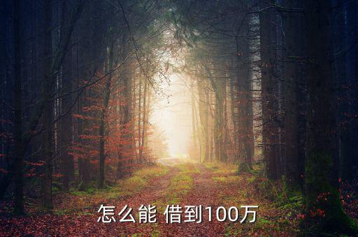 怎么能 借到100萬