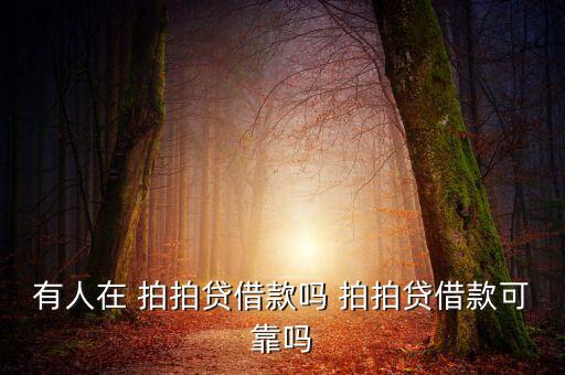 拍拍貸理財怎么樣,上海拍拍貸款金融信息服務(wù)有限公司