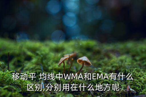 移動(dòng)平 均線中WMA和EMA有什么區(qū)別,分別用在什么地方呢