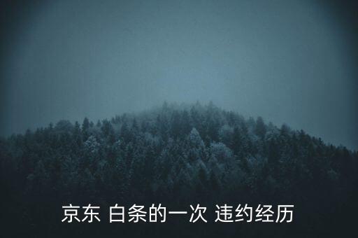 白條違約了怎么辦,jd.com白條違約處理詳情請(qǐng)看這里