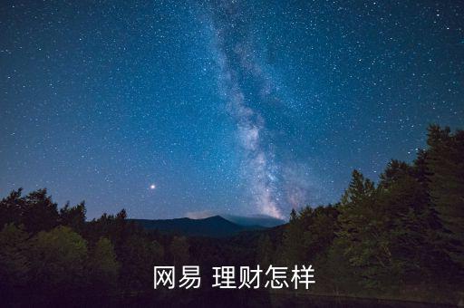  網(wǎng)易 理財(cái)怎樣