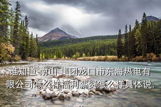 二月南山集團怎么樣,南山鋁出資的民營熱電廠正式開工