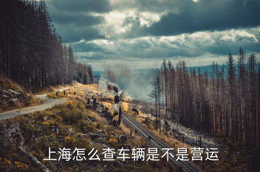  上海怎么查車輛是不是營(yíng)運(yùn)