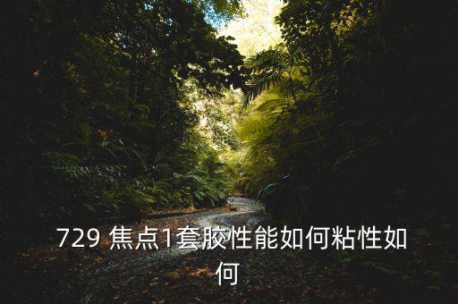  729 焦點(diǎn)1套膠性能如何粘性如何