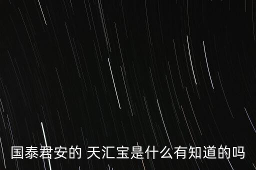 國(guó)泰君安的 天匯寶是什么有知道的嗎