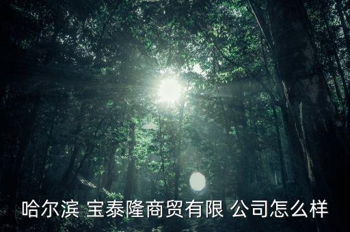 哈爾濱 寶泰隆商貿(mào)有限 公司怎么樣