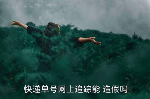 國際快遞信息怎么造假,快遞單號(hào)造假是既定事實(shí)無意義