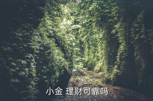  小金 理財可靠嗎