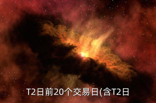 T2日前20個交易日(含T2日