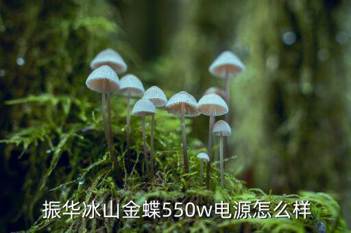  振華冰山金蝶550w電源怎么樣