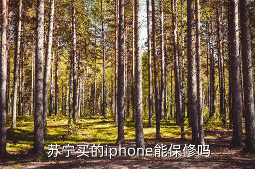  蘇寧買的iphone能保修嗎