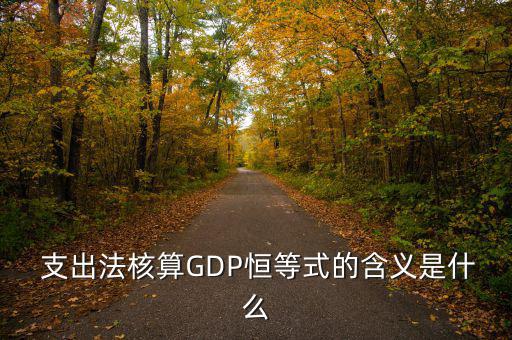  支出法核算GDP恒等式的含義是什么