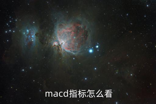  macd指標怎么看