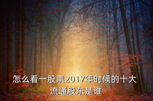 怎么看一股票2017年時候的十大 流通股東是誰