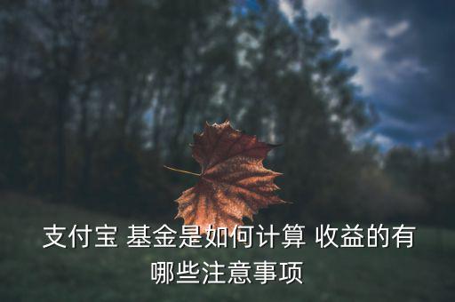  支付寶 基金是如何計(jì)算 收益的有哪些注意事項(xiàng)