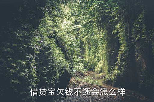  借貸寶欠錢(qián)不還會(huì)怎么樣