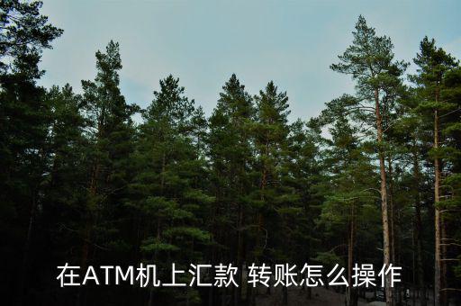 在ATM機(jī)上匯款 轉(zhuǎn)賬怎么操作