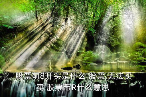 r標(biāo)股票怎么買,r是融資融券交易股票符號(hào)