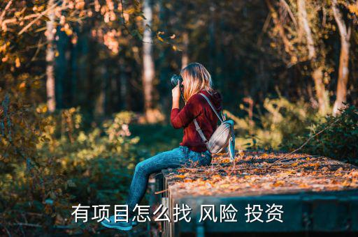 有項(xiàng)目怎么找 風(fēng)險 投資