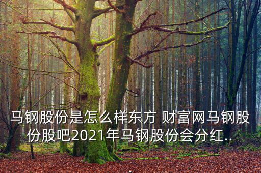 馬鋼股份是怎么樣?xùn)|方 財(cái)富網(wǎng)馬鋼股份股吧2021年馬鋼股份會(huì)分紅...