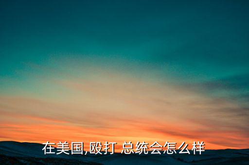 在美國(guó),毆打 總統(tǒng)會(huì)怎么樣