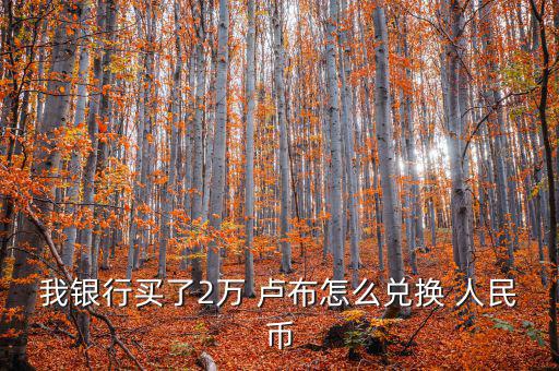 我銀行買(mǎi)了2萬(wàn) 盧布怎么兌換 人民幣