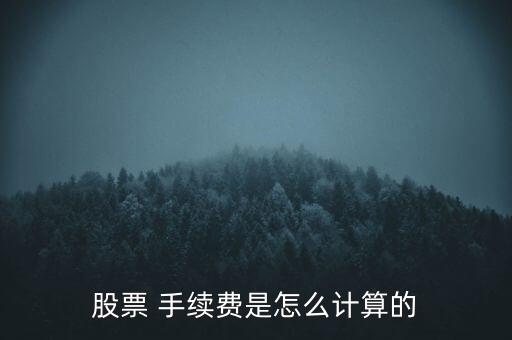 股票 手續(xù)費是怎么計算的