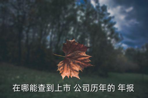 怎么查看公司年報,listing公司財務報表在每期年報里