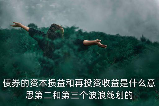 債券的資本損益和再投資收益是什么意思第二和第三個(gè)波浪線劃的