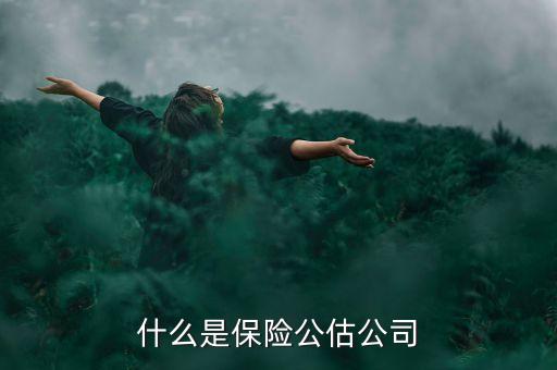 什么是承保公估，保險中的公估是什么概念